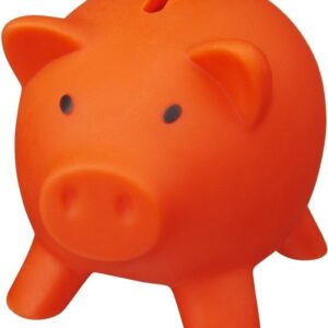 Spaarvarken gepersonaliseerd Oranje